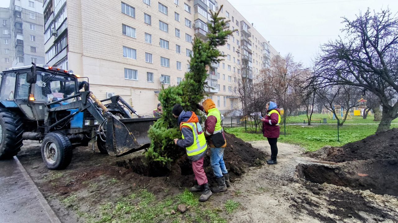 Харківські комунальники висадили ялинки (фото)